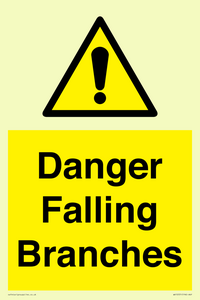 Danger Falling Branches